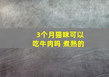 3个月猫咪可以吃牛肉吗 煮熟的